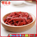 Chinese High Quality Red Ningxia Goji Berries Organic Dried Fruit